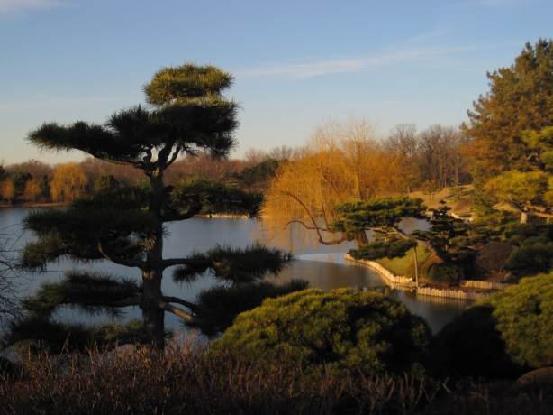 Japanese Garden